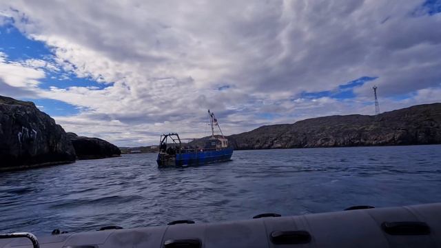 Фридайвинг. Баренцево море. Дальние Зеленцы.