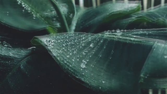The Best Music Raining  Relax Music Самый лучший Успокаивающе музыка медленная музика