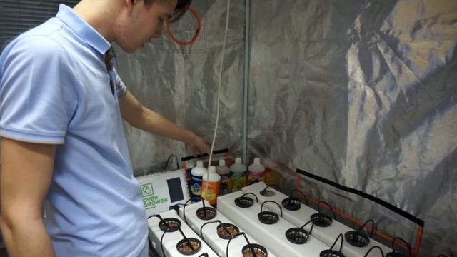 Что такое гидропоника