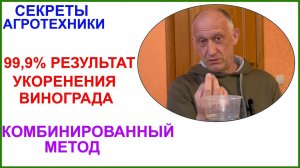 Комбинированный метод укоренения черенков винограда.  99,9% результат.