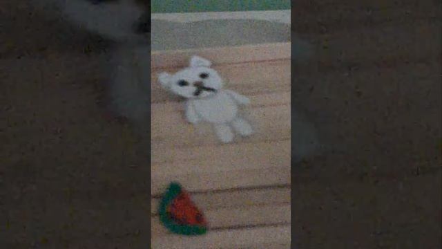 мы сделали поделку виде плата для медведей смотреть онлайн