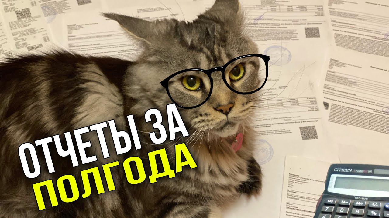 Где отчеты, Зоомама? Я ими устилаю пол | Отчеты за пол года ❤️| Спасибо за помощь