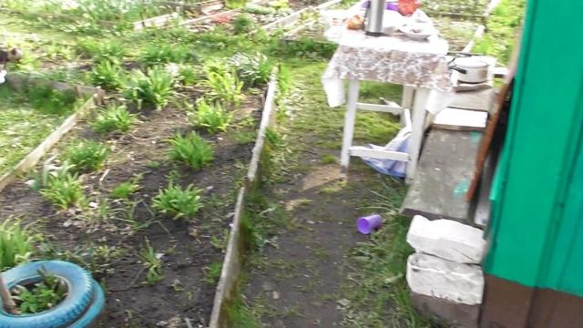 \8\05\2022г\супер\импровиз\рулате\на супер нижегор\гарм\на природе\слушает\красив\собачка\мики\рурк смотреть онлайн