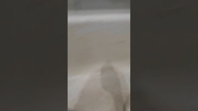 Быстрое снятие Аэрозольного акрила с ванны.