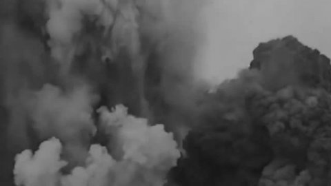 Мишка #ГолосПобеды #ГолосПамяти