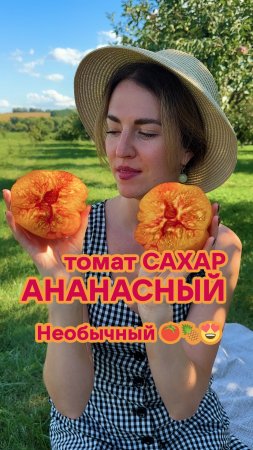 Нельзя покупать семена томатов не посмотрев этот обзор! Супертомат биколор!