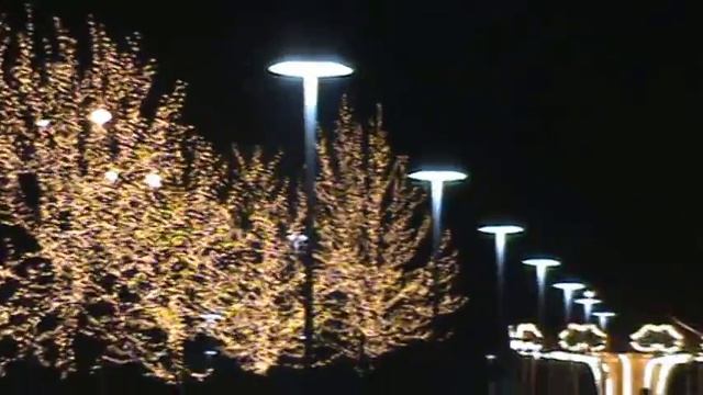 Освещение аллеи Донецк 1 смотреть онлайн