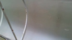 парник для выращивания перцев