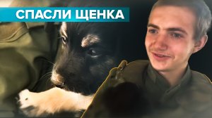 «Кто-то его в сарае запер»: рядовой из ЛНР спас щенка из-под обстрелов