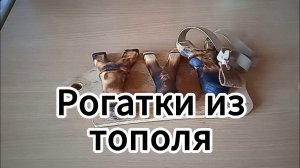 Рогатки из тополя.