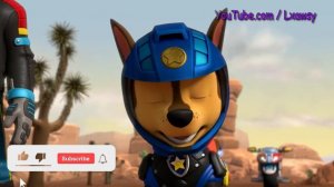 Sonic The Hedgehog & Paw Patrol & Angry Birds & Pinkfong-Coffin Dance Song Astronomia (COVER)