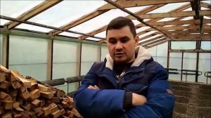 Тепличный бизнес зимой. Послесловие.