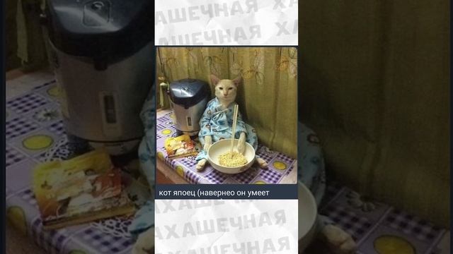 #приколы #мемы #мем #лютыеприколы смотреть онлайн