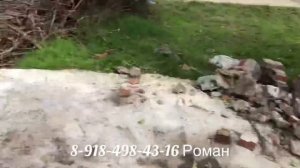 Забор из евроштакетника с кирпичными колоннами!