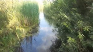 Татарский вал Липецкая обл г Усмань