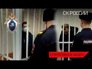 В Костроме двум мужчинам, подозреваемым в убийстве малолетней девочки, избрана мера пресечения