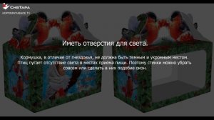 Кормушка для птиц из картонной коробки