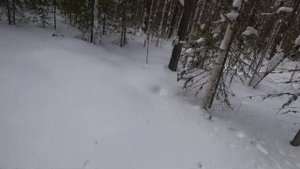 Снегоход буран с двигателем ока.