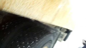 Шипованные колеса на тягаче. За или против?