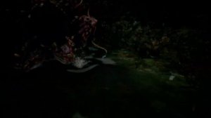 Resident Evil 8 Sashimi challenge guide