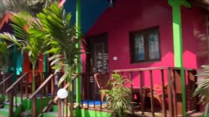 Где вкусно покушать в Гоа?Фуд планет!где учатся дети?Зернышко и Перелётная школа.Гоа Арамболь