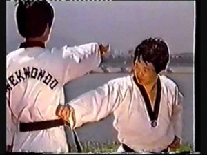 Taekwondo WTF. История Taekwondo. Техника боя.
