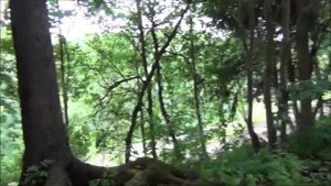 Любшанская крепость