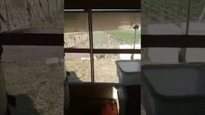 Дом на колесах для откачки меда