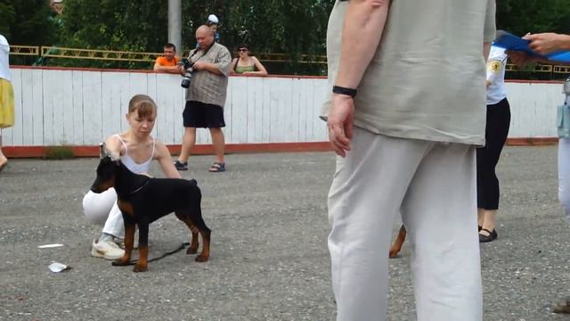 сравнение на лб.MP4 смотреть онлайн