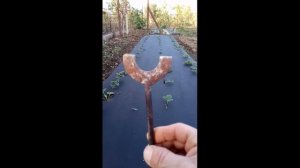 Приспособление для посадки клубники