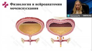 Нейрогенные дисфункции мочеиспускания у детей (Зайцева А.О.)