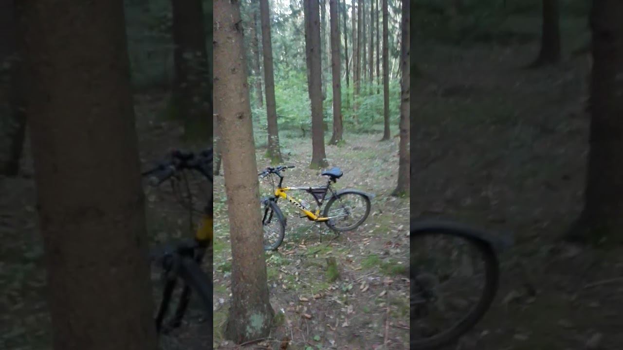 Имя, сестра, имя! #скажи .... (дубль 2) смотреть онлайн