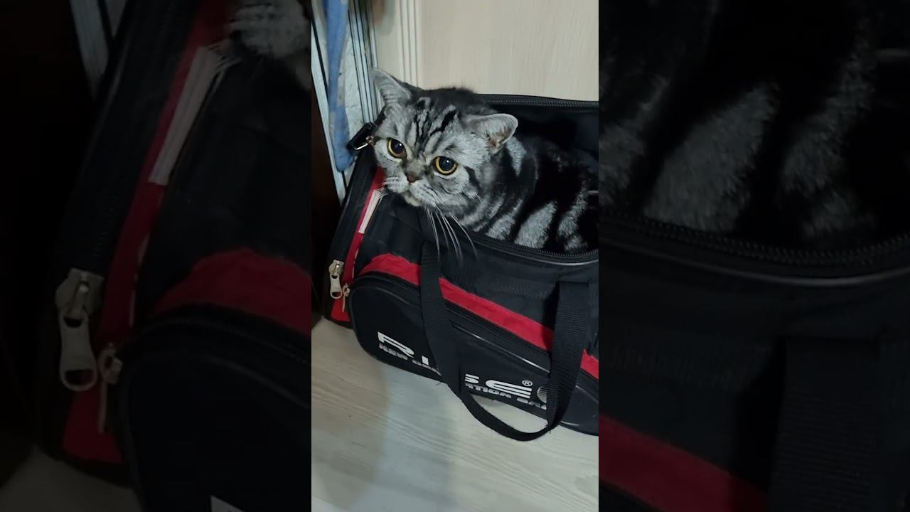 СОБРАЛСЯ В ДОРОГУ!!!