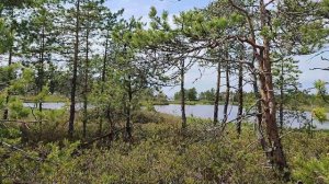 Полёт на озеро Варгато, июнь 2023