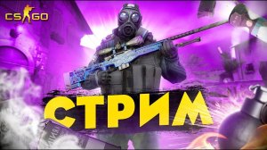 Counter-Strike 2 Алкострим. Тестим рутуб