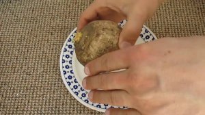 Репа - как получить свои семена