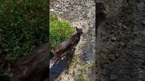 Приехали на Миусский Лиман хутор Седых под Таганрогом