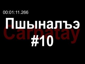 Пшыналъэ #10 | Кӏапсэрыкӏуэ | Ерыжь Зули