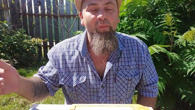 томат Сладкие сердечки