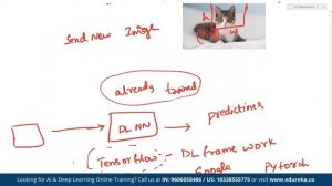 Real-Time Object Detection | Object Detection with TensorFlow | Edureka | ML  Rewind - 5