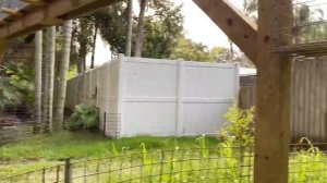 Big Cat Rescue Home Tour: Moses & Bailey Bobcat