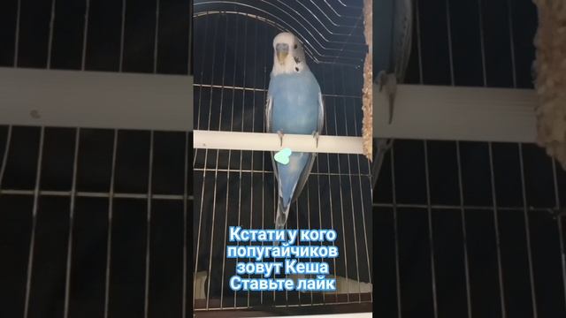 13 ноября 2023 г. смотреть онлайн