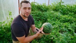 ГОД ПРОЖИТЫЙ НА ЗАИМКЕ _ ФИЛЬМ О ДЕРЕВНЕ