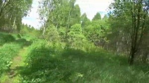 Исследуем полузаброшенную деревню в Смоленской области