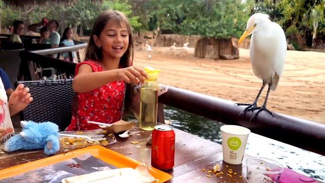 🦤НАГЛАЯ ПТИЦА ВОРУЕТ У МЕНЯ ЕДУ!!🦒🐅🐘 смотреть онлайн