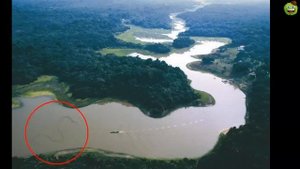Самая большая змея в мире (НОВЫЕ КАДРЫ)
