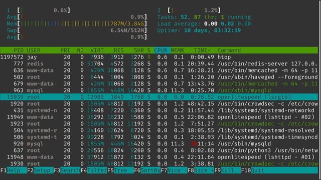 Linux Crash Course - htop