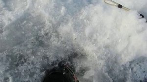 Эхолот Humminbird PiranhaMAX 170 приспособим к зиме !!!.mp4