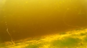 Что происходит под водой когда не клюет.Подводная съемка. Щука. Pike.Pike attacks.
