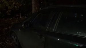 Suzuki SX4. Автоматическое складывание зеркал